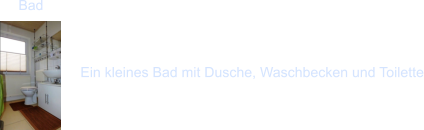 Ein kleines Bad mit Dusche, Waschbecken und Toilette Bad